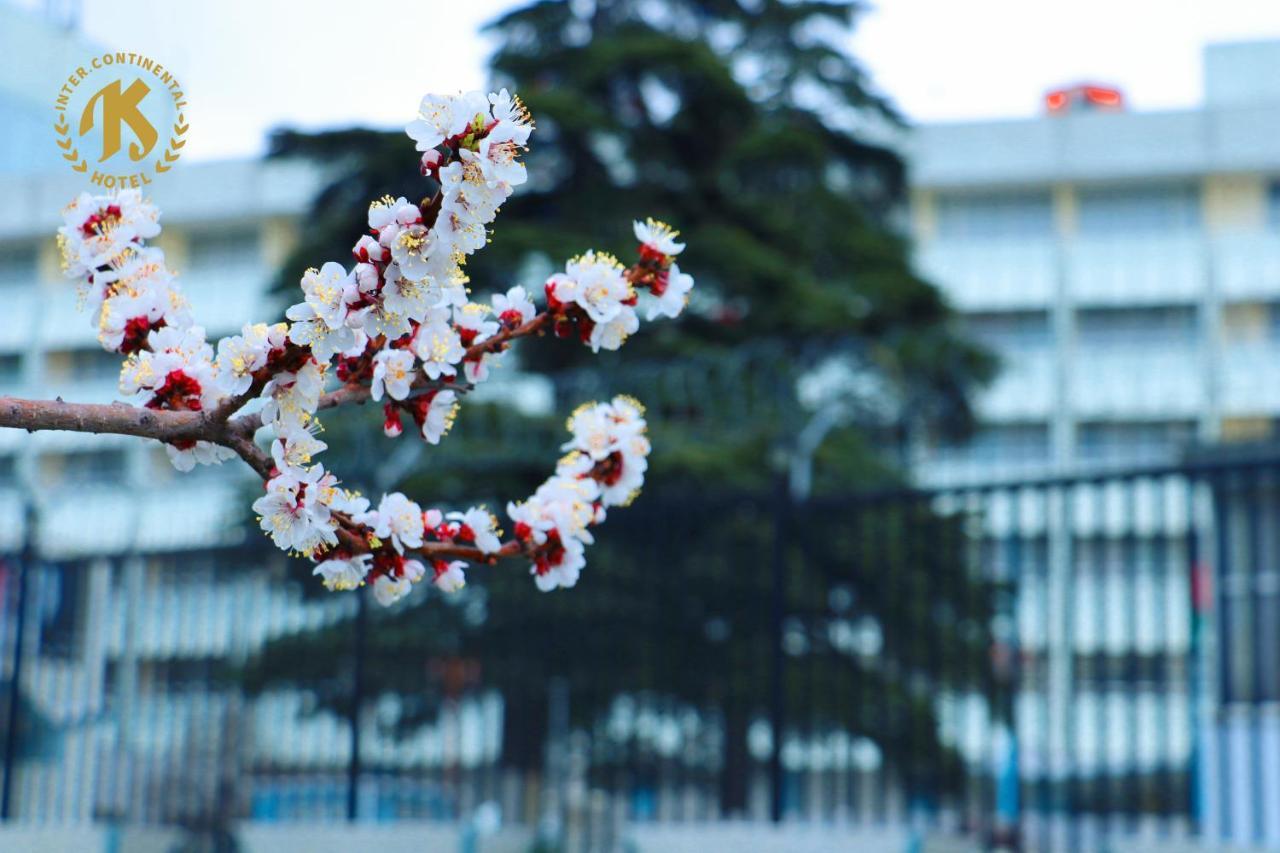 Intercontinental Hotel Kabul Exteriör bild